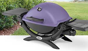 Q1200 in Purple