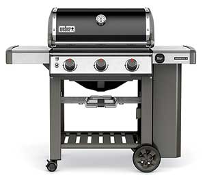 Weber Genesis E-310