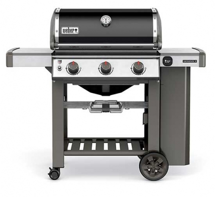Weber Genesis E-310