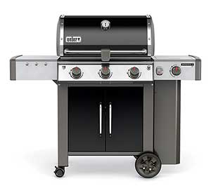 Weber Genesis LX E-340