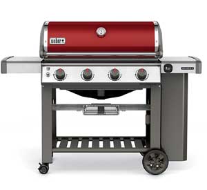 Genesis II E-410 in Crimson